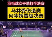 开云体育登录-中国羽毛球队逆转韩国羽毛球队，马琳爆发神勇的简单介绍