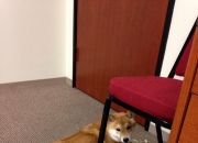 开云体育中国官网-那不勒斯战术压制马德里竞技，基米希成为关键先生