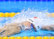 开云体育官网-绿茵争冠烽火连天，南粤雄师制霸黄蜂—双线战场上的荣耀与谋略