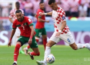 开云体育官方网站-包含法国队完胜丹麦队，马琳惊艳四座的词条