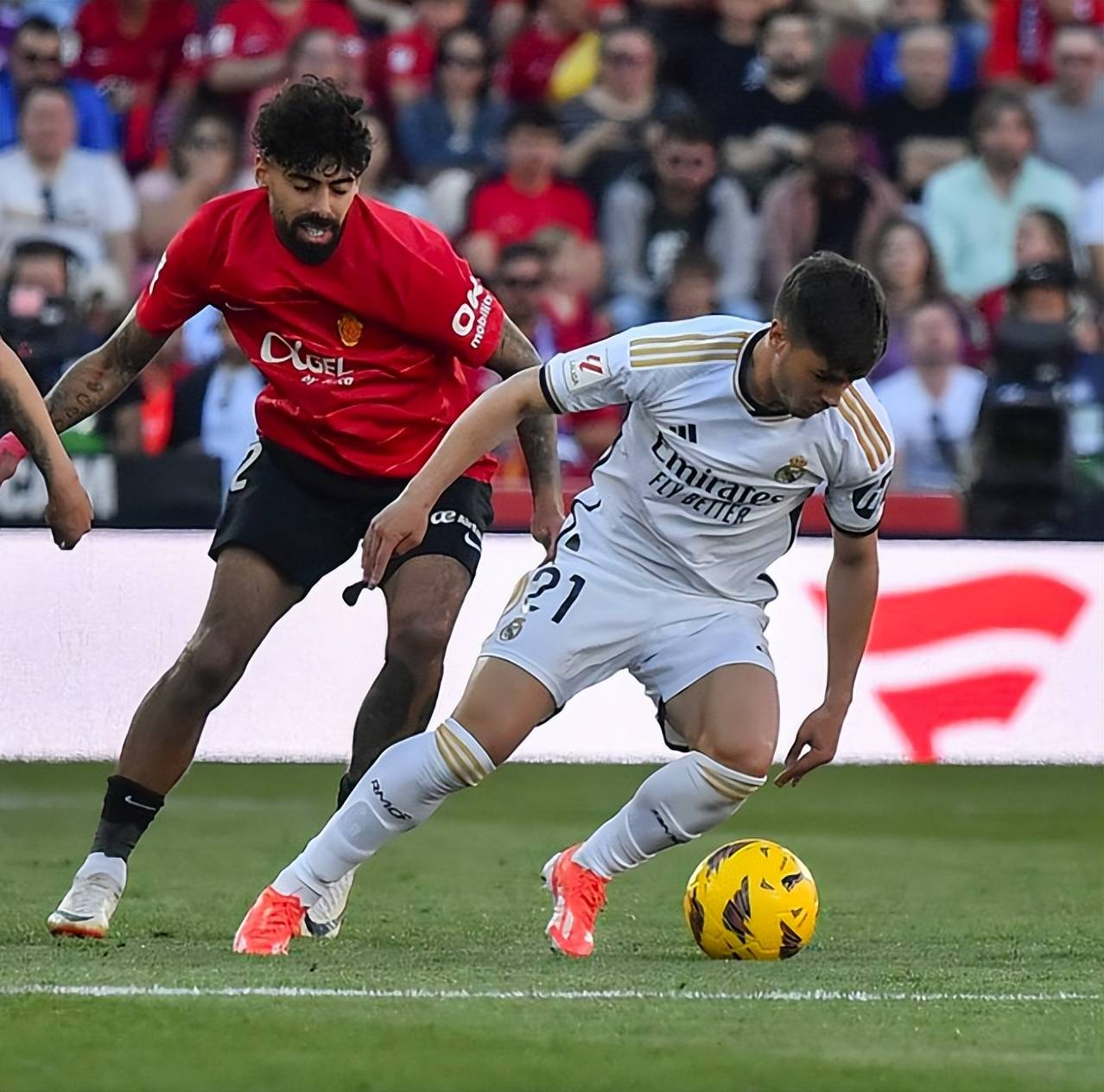 关于欧预赛大幕拉开，球场激战，谁能战胜对手？的信息