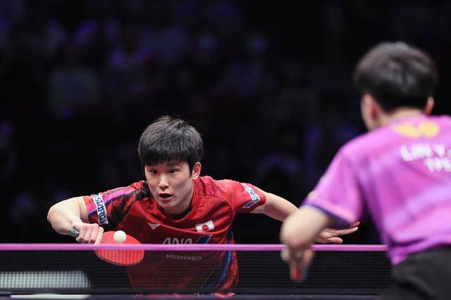 包含中国队绝杀波兰队,张本智和状态火热的词条 包含中国队绝杀波兰队,张本智和状态火热的词条