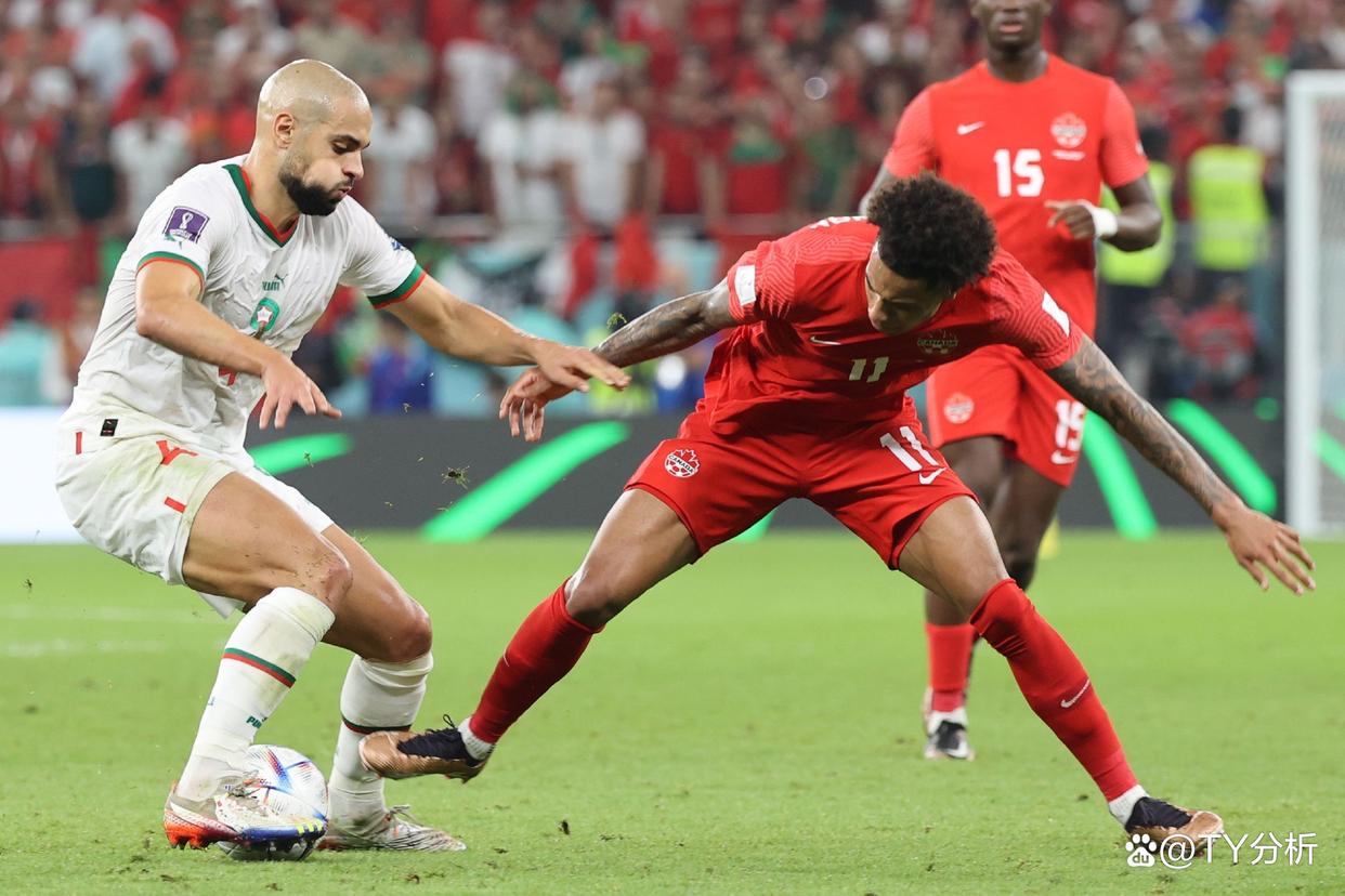 加拿大选手突围夺冠,实力无人可敌的简单介绍 加拿大选手突围夺冠,实力无人可敌的简单介绍