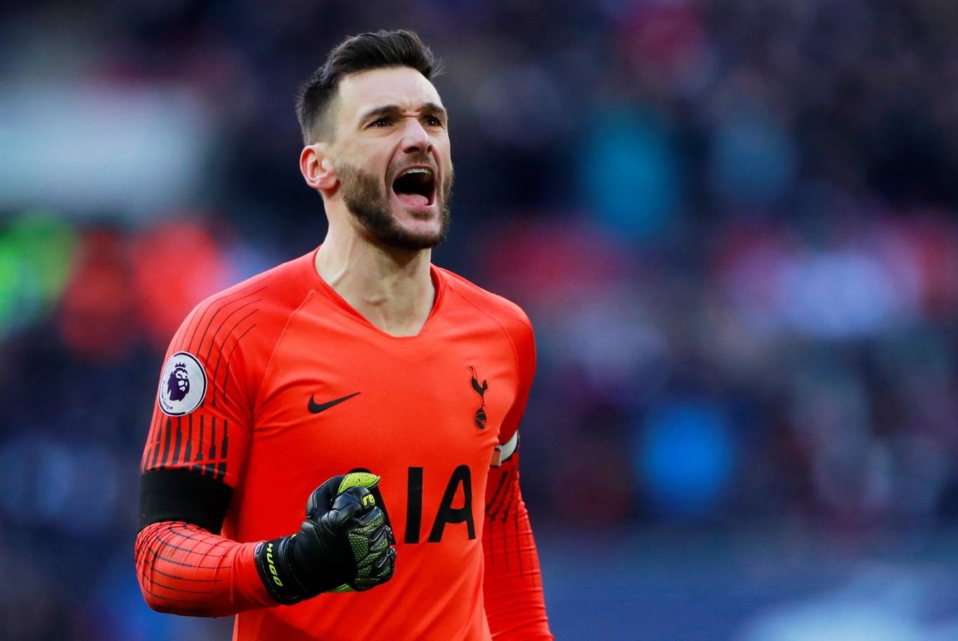 包含波兰队力克韩国队，王皓状态火热的词条