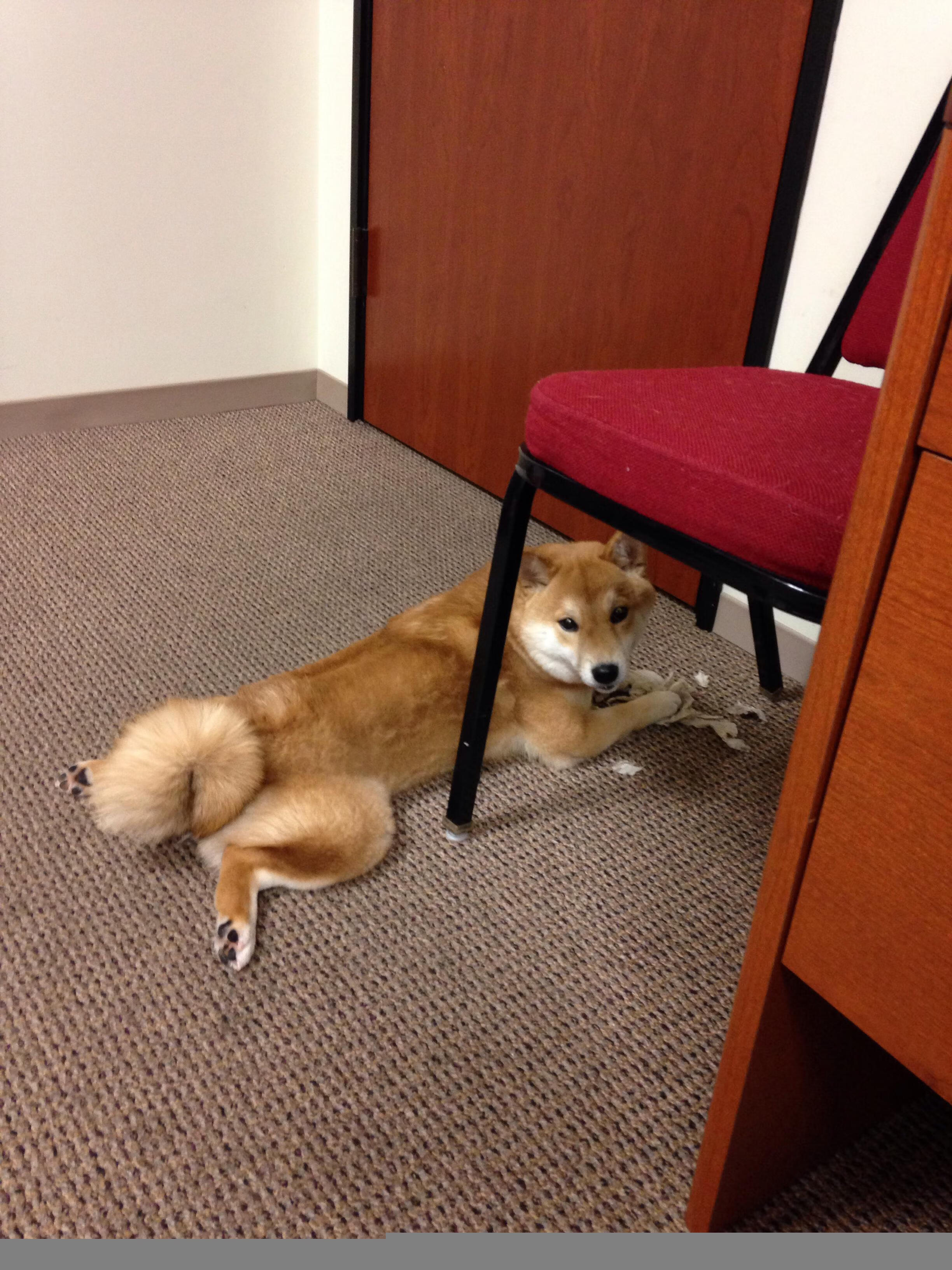 那不勒斯战术压制马德里竞技,基米希成为关键先生