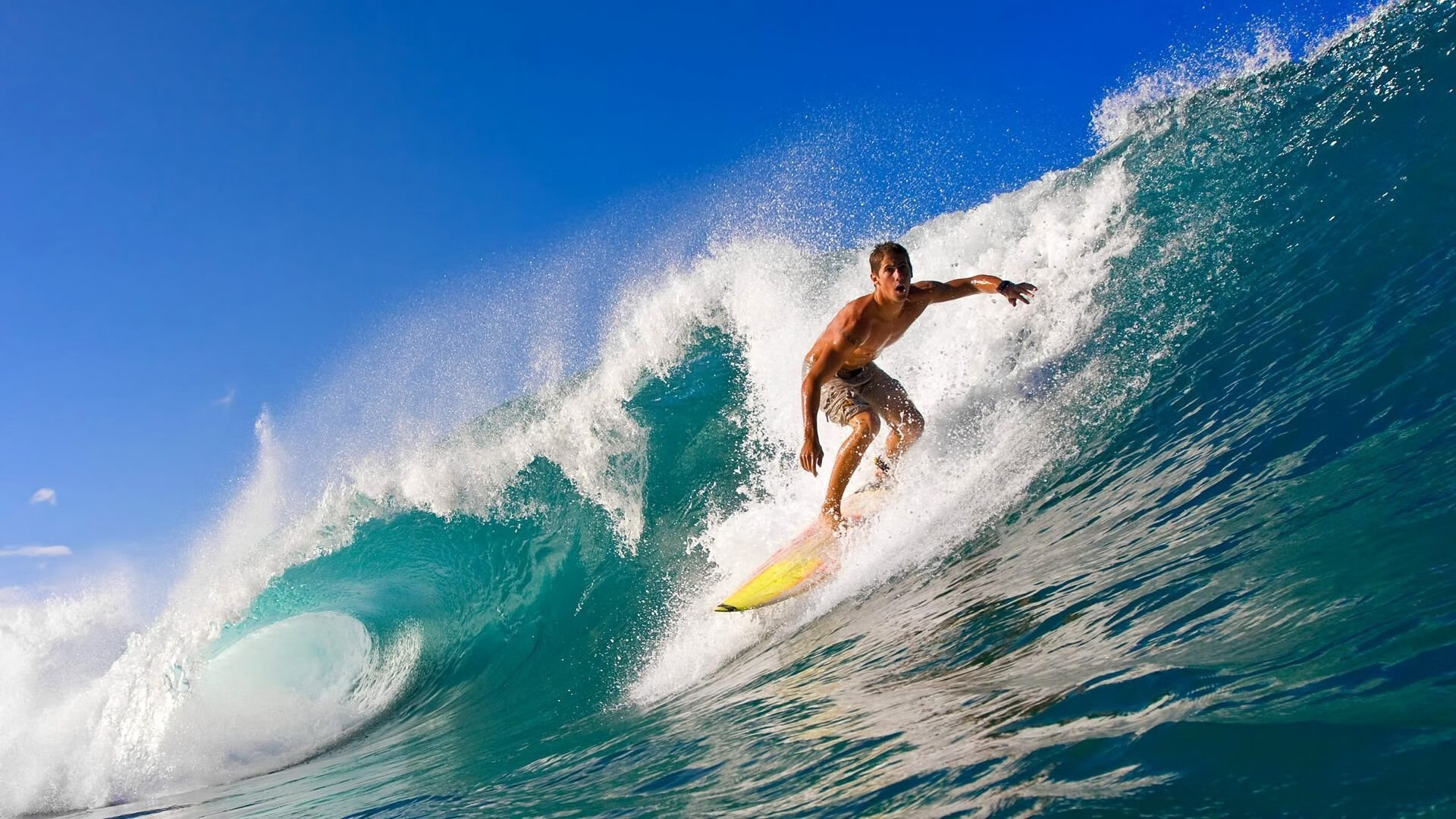 赛道与球场，两个夜晚，一种主宰
